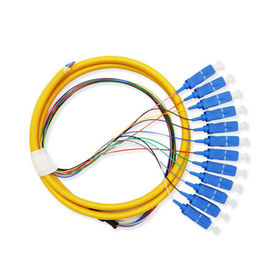 정보 통신 장비를 위한 12의 핵심 광섬유 접속 코드 떠꺼머리 Sc 연결관